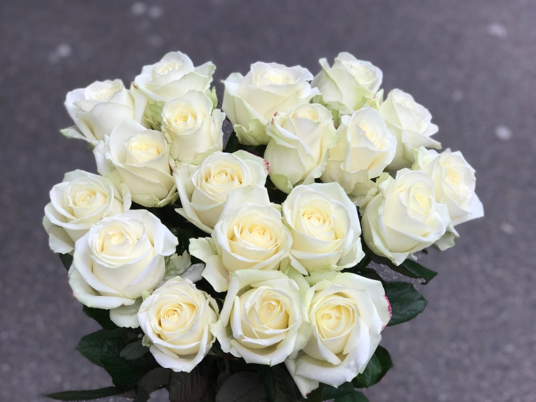 Luxury White Roses