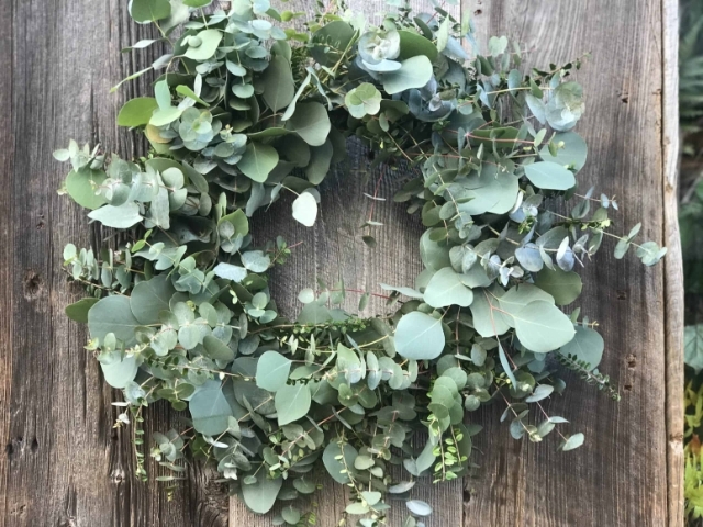 Eucalyptus Wreath